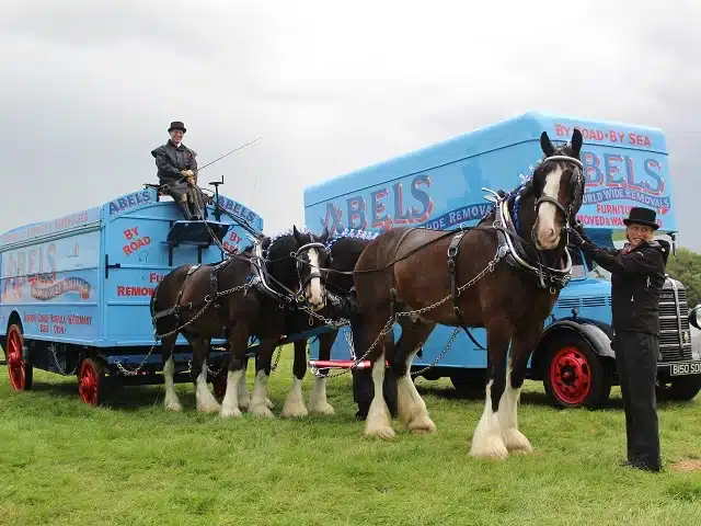 Abels horse carriage