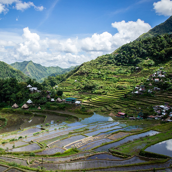 Philippines, Rice terraces