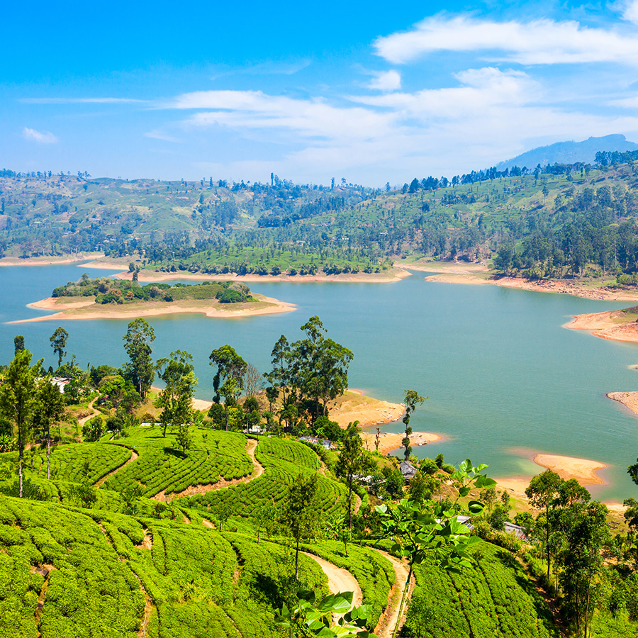 Tea plantation and Maskeliya Dam Lake or Maussakelle reservoir near Nuwara Eliya in Sri Lanka. Nuwara Eliya is the most important place for tea production in Sri Lanka