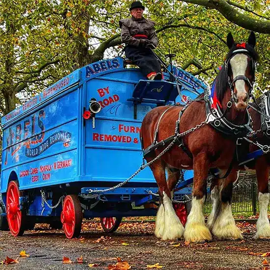 abels horse truck