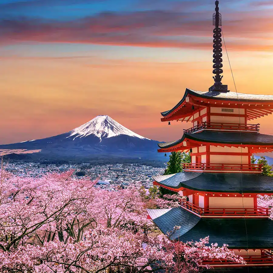 cherry-blossoms-spring-chureito-pagoda-fuji-mountain-sunset-japan