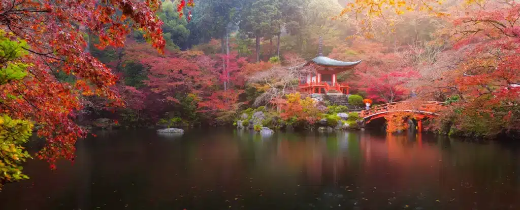 Considering a Move Abroad to Japan?