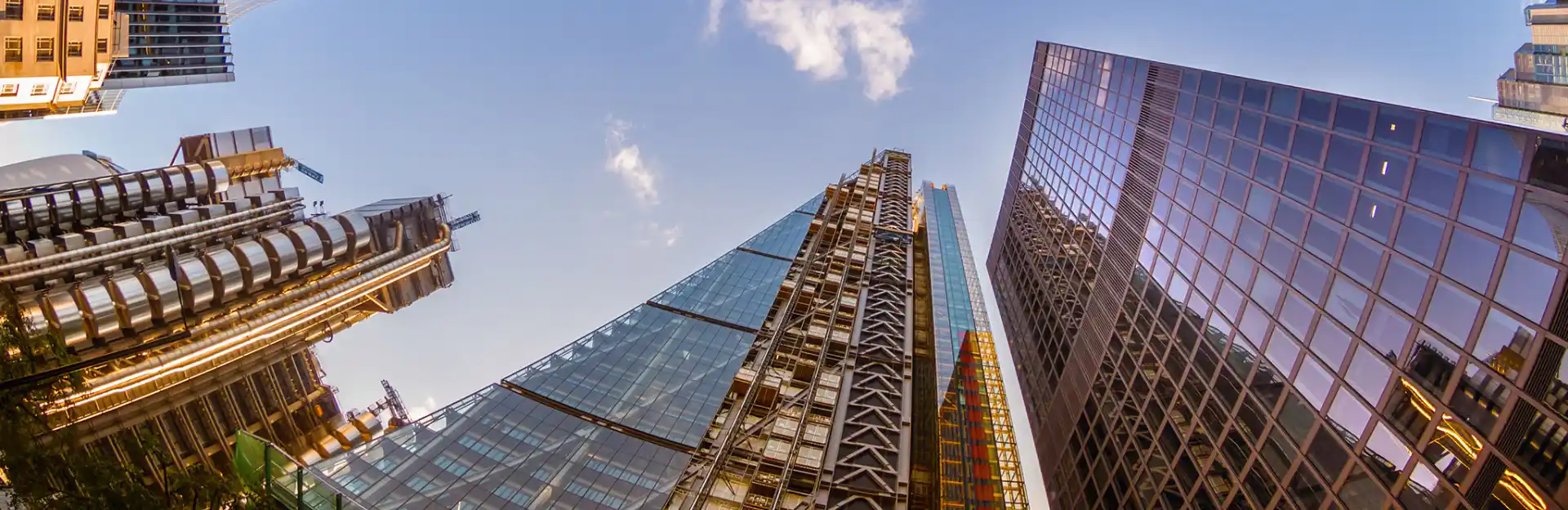 Let Us Manage Your Next Business Move