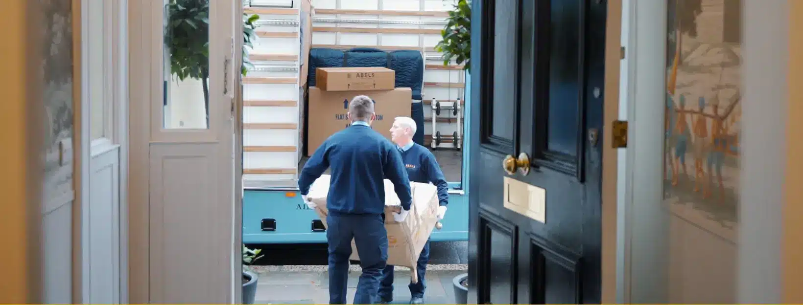 Arrange Your Storage Collection Today